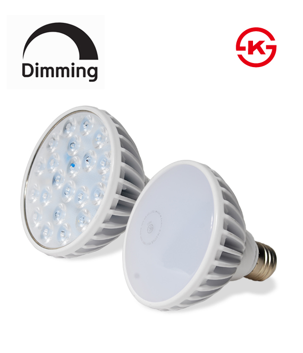 LED PAR30 15W 집중형/확산형 [조광형]